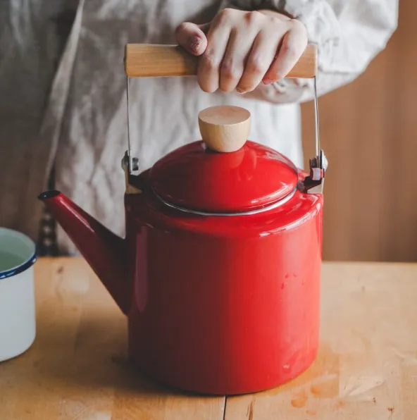 Hot Water, Tea Kettle Japanese Style Enamel 2.4 L Induction & Gas Stove Teapot Kettle