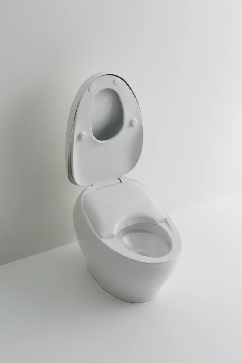 Neorest NX1 Elongated Dual-Flush Integrated Bidet Seat One-Piece Toilet in Cotton White