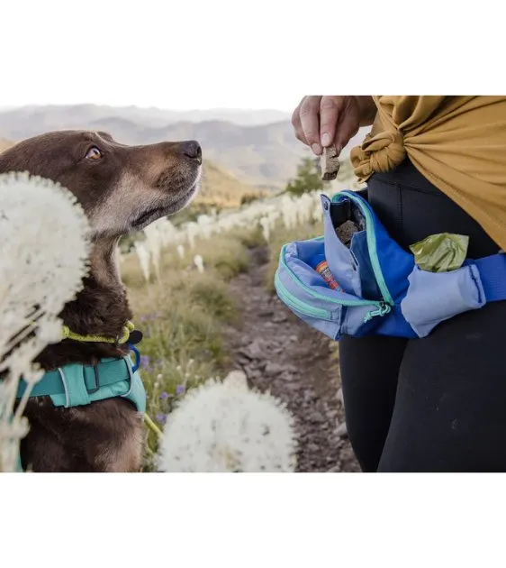 Ruffwear Home Trail™ Waist-Worn Hip Pack (Heliotrope Purple)