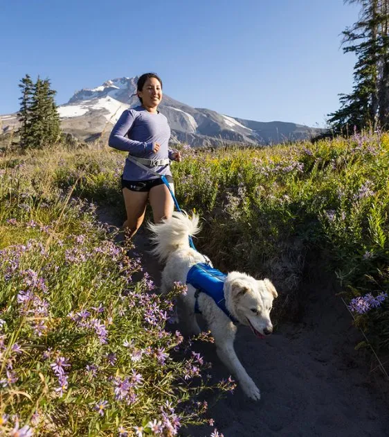 Ruffwear Trail Runner™ Running Belt (Blue Pool)