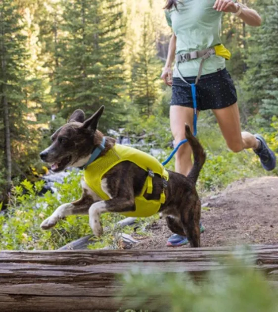 Ruffwear Trail Runner™ Running Belt (Blue Pool)