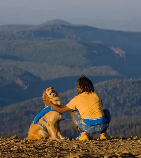 Ruffwear Trail Runner™ Running Belt (Blue Pool)