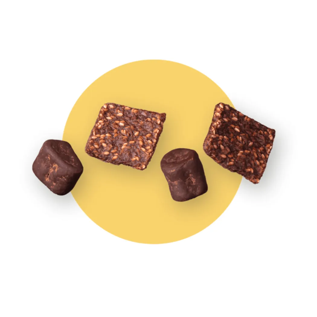 Sugar-Free Dream Team: Indulge in Choco Banana Bliss (6 Bags of Organic Goodness!)