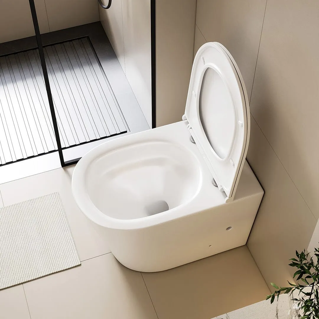 Yara58 Rimless Tornado Floor Mount Toilet   Geberit Stainless Steel Button Package