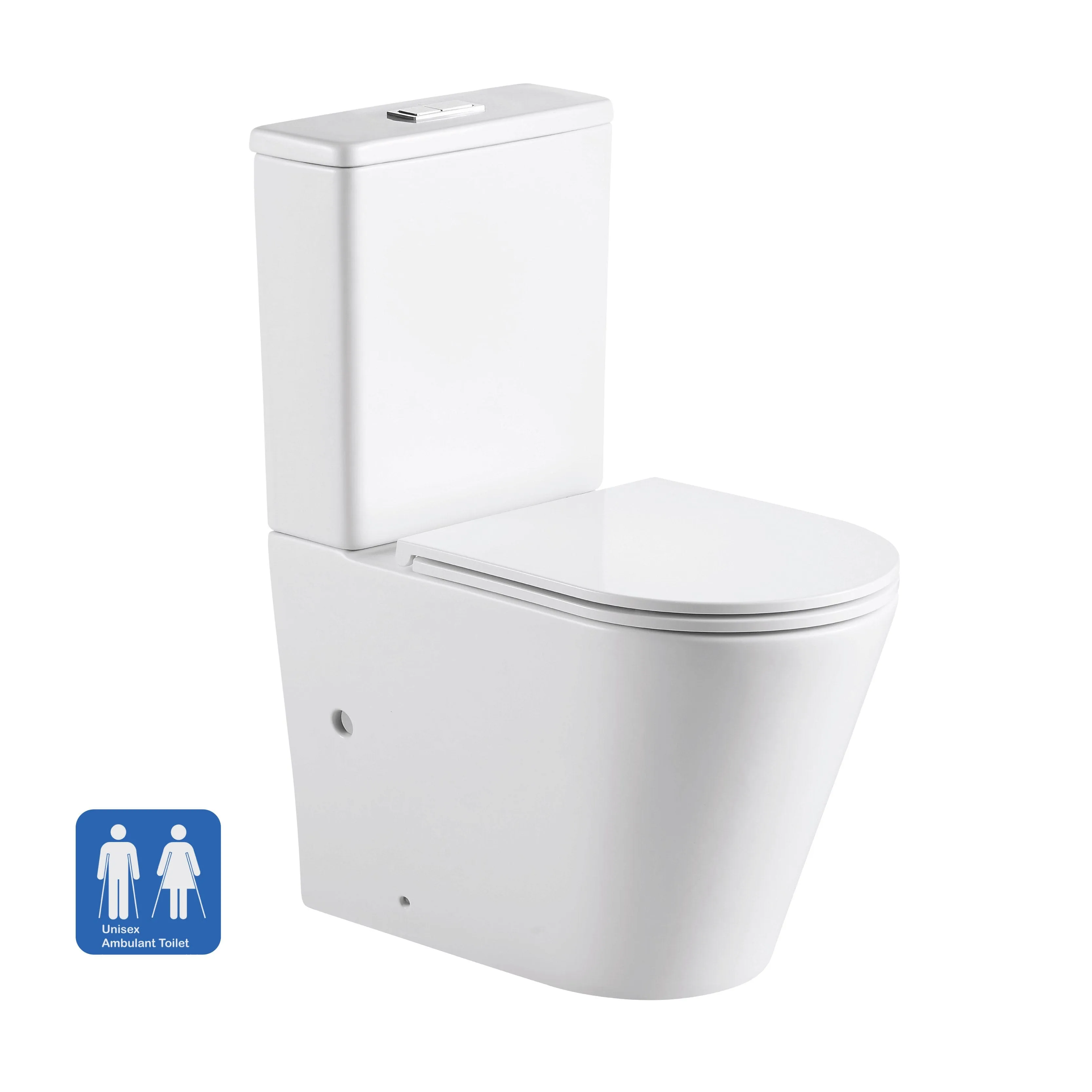 Yara67 Ambulant Rimless Tornado Back to Wall Toilet